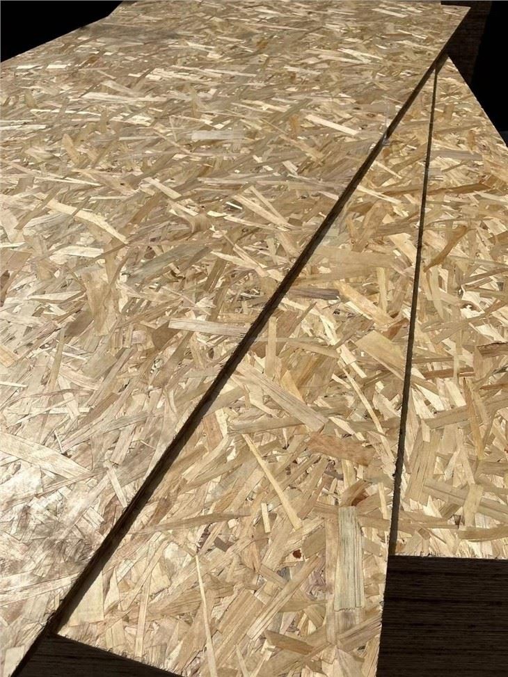 OSB Board For Construction Building Furniture FSC Pine Material